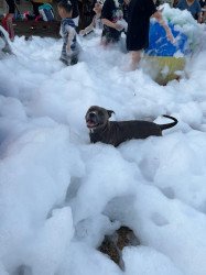Foam Party Daytime 1 hour