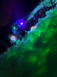 Foam Party UV Blacklight Glow 1 Hour